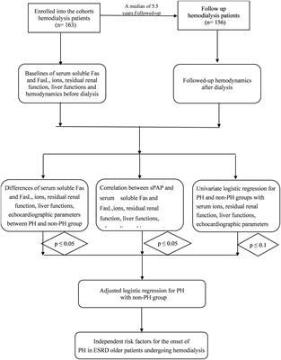 Baseline Ratio of Soluble Fas/FasL Predicts Onset of Pulmonary Hypertension in Elder Patients Undergoing Maintenance Hemodialysis: A Prospective Cohort Study